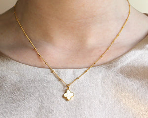 Mother of Pearl Clover