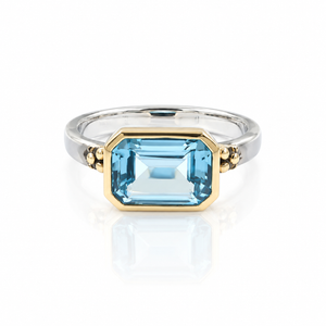 BSwiss lue topaz east west ring.  mixed metal.  on white ground. 